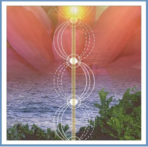 Event image: Prana Vidya with Swami Yogakanti, a Meander Valley Yoga retreat, 5 to 8 March 2027